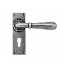 Pewter Lever Handle on Lock Backplate