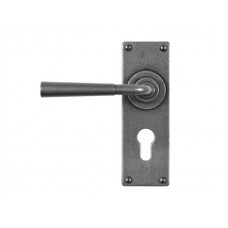 Forged Steel Lever Handle on Euro Lock Backplate 