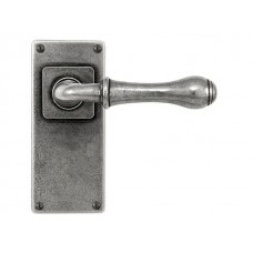 Pewter Lever Handle on Jesmond Latch Backplate