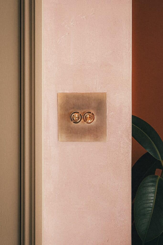 double dolly switch on a single square metal plate