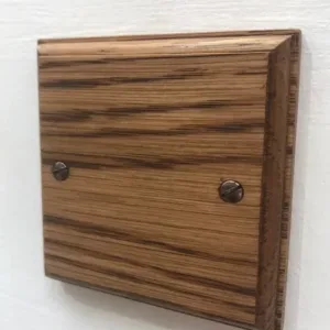 Single blanking plate