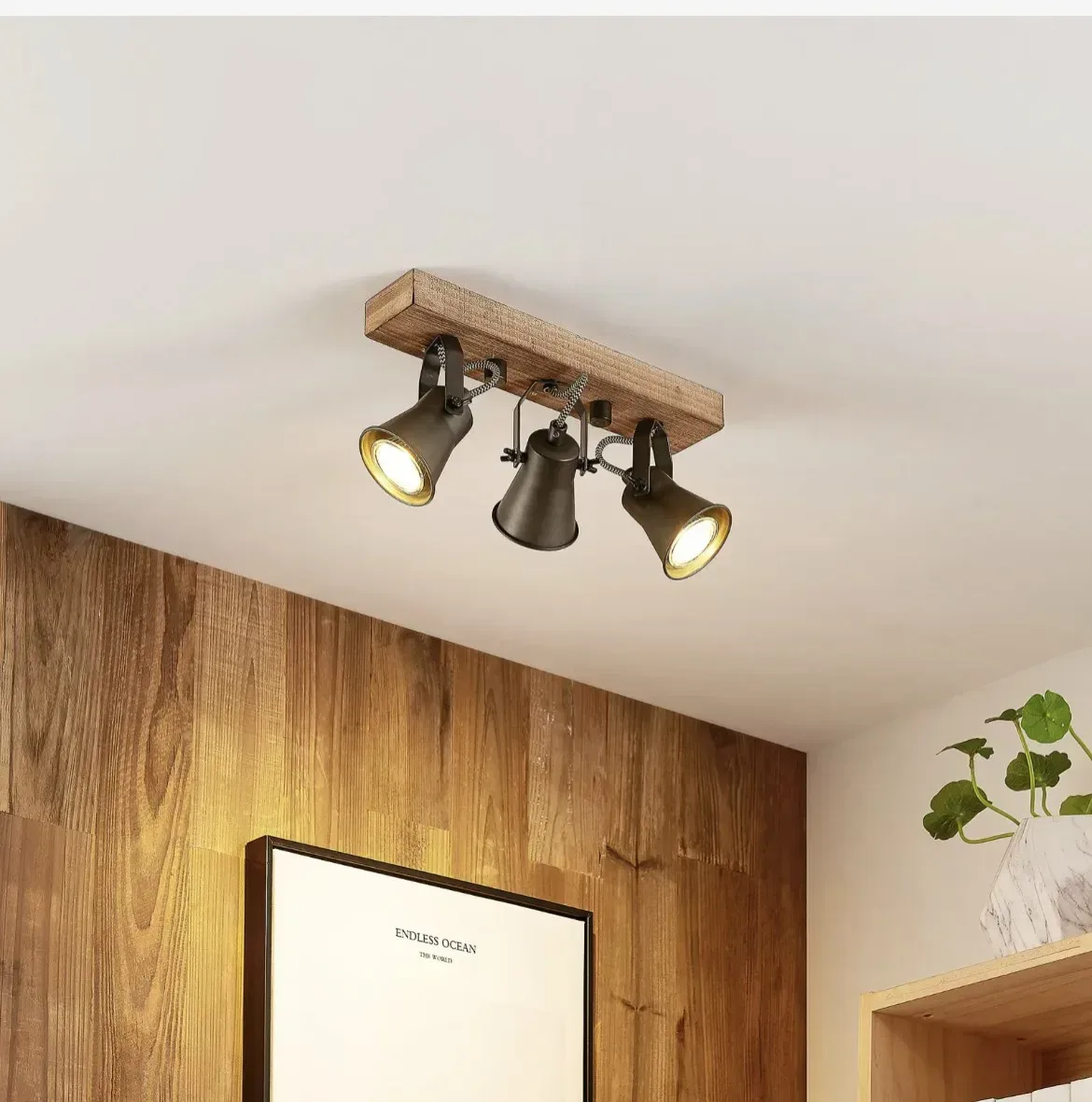Grandesa-downlight-3-bulb.jpg